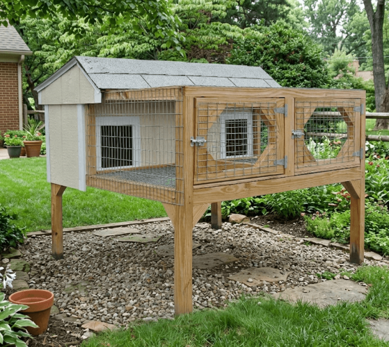 Double Rabbit Hutch