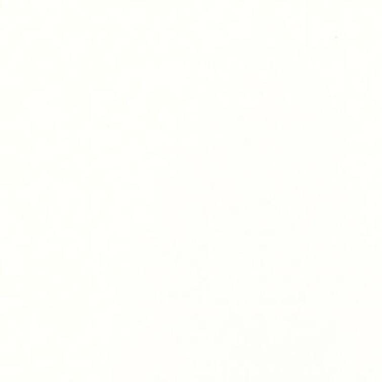 gloss white